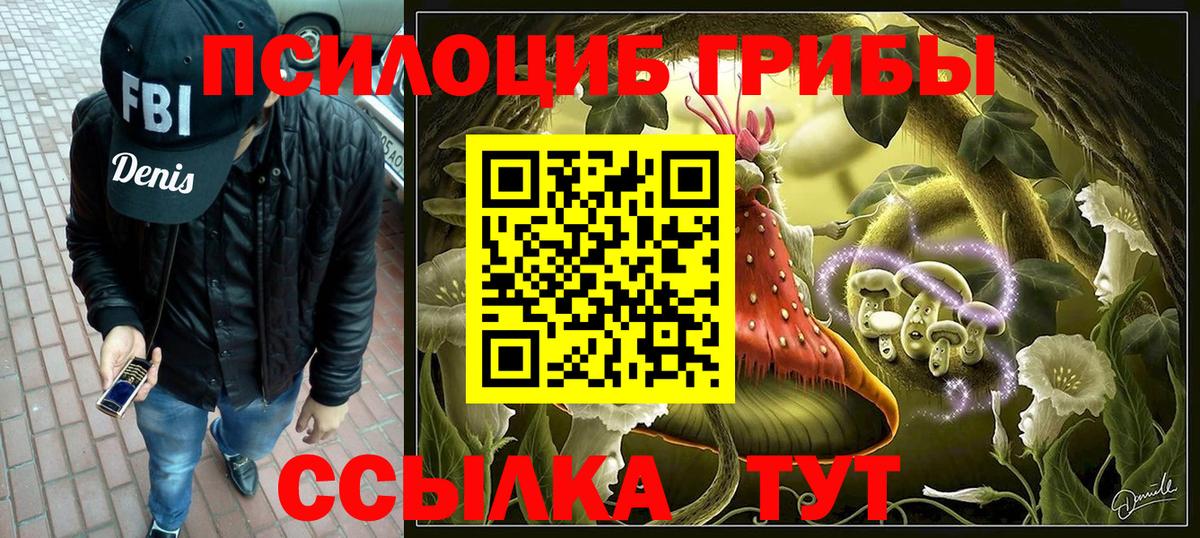 Псилоцибиновые грибы ЛСД Приморско-Ахтарск