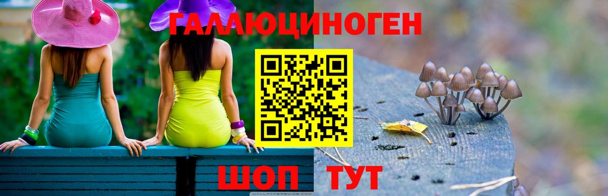 цена   Псилоцибиновые грибы Magic Shrooms  Приморско-Ахтарск  Вход с VPN  Псилоцибиновые грибы Magic Shrooms 